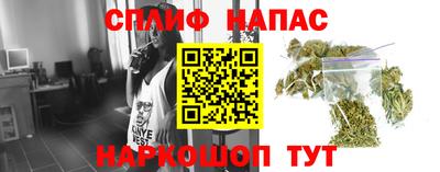 гашик Донецк