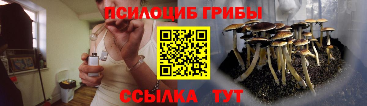 Галлюциногенные грибы GOLDEN TEACHER  Галлюциногенные грибы ЛСД  Красноармейск  Вход с VPN 
