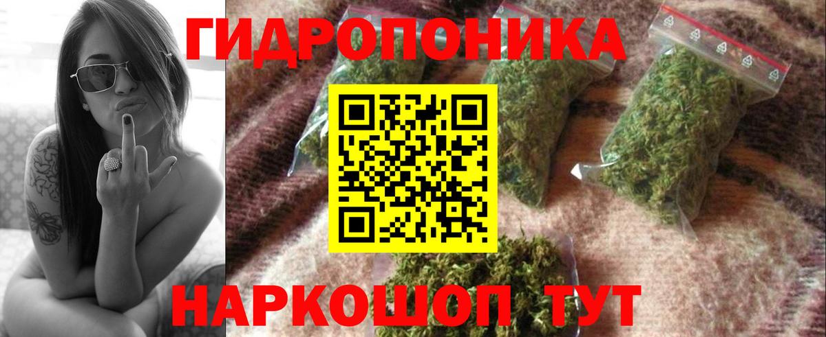 Бошки Шишки SATIVA & INDICA  Бошки Шишки ГИДРОПОН  Красноармейск  Конопля SATIVA & INDICA  Вход с VPN  Шишки марихуана индика 